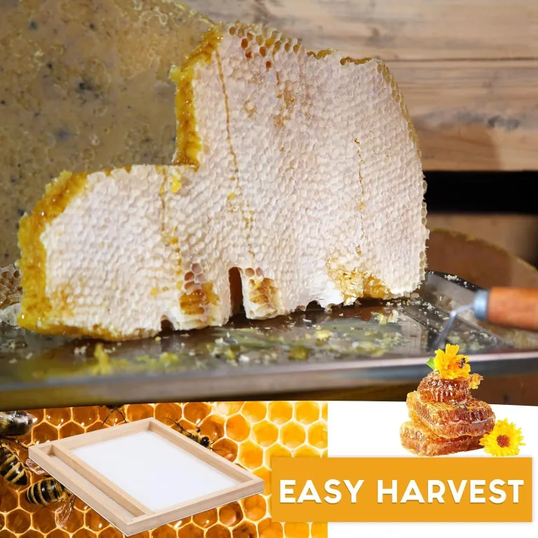 CroBlissful 2 Pcs Solar Fume Board 8 Frame and 10 Frame Bee Hive Inner Cover Metal Top Beehive Board for Honey Harvesting Metal Kit Beekeepers Tool Supplies, photo 3