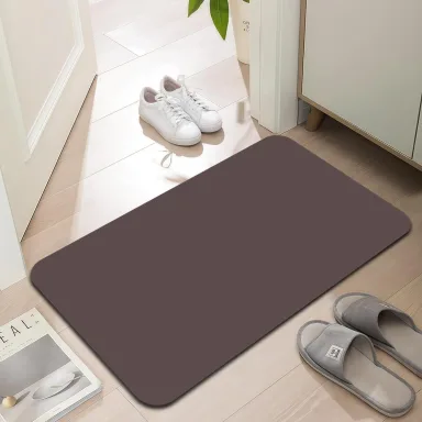 LYGLIGH Ultra Thin Indoor Door Mat, 1/10 in Thin Door Mats for Inside Entry